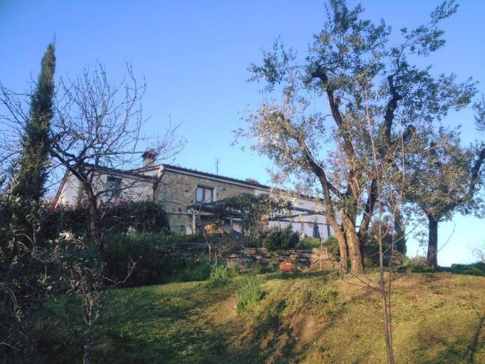 Agriturismo Menghino Nievole Kültér fotó