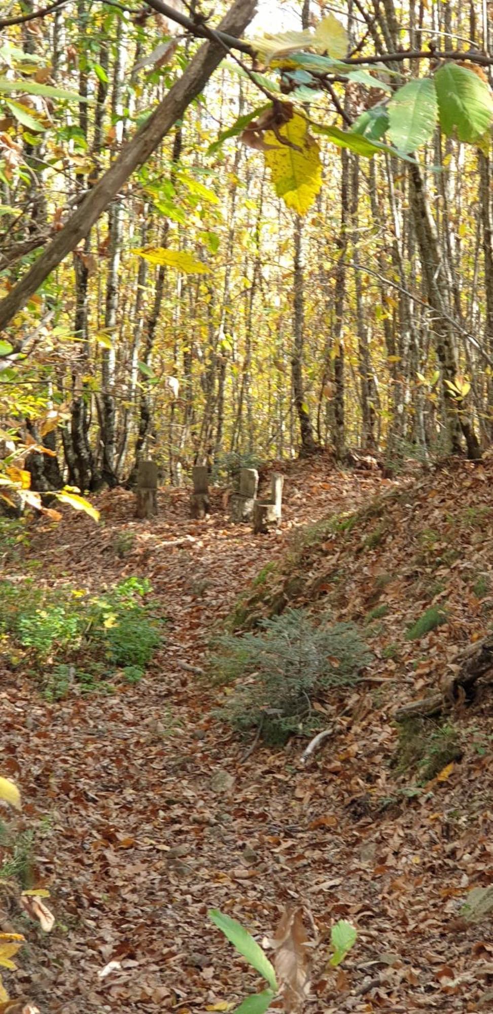 Agriturismo Menghino Nievole Kültér fotó